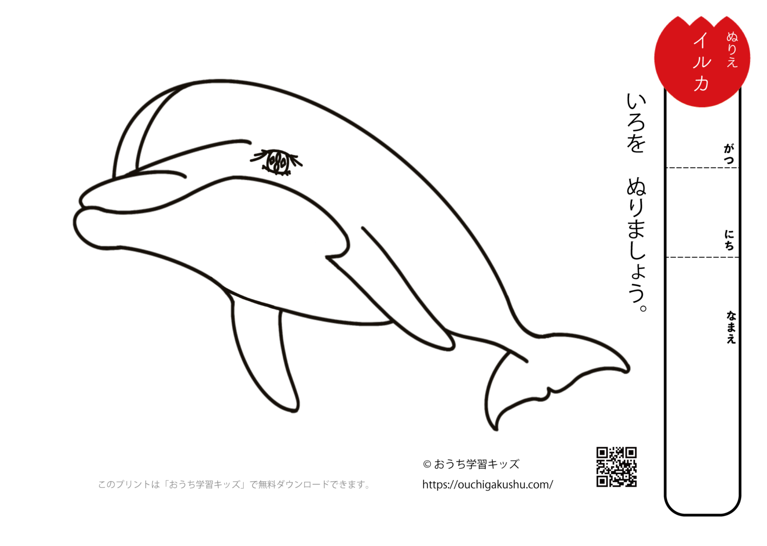 無料ぬりえプリント「イルカ」 | 無料プリント教材｜おうち学習キッズ