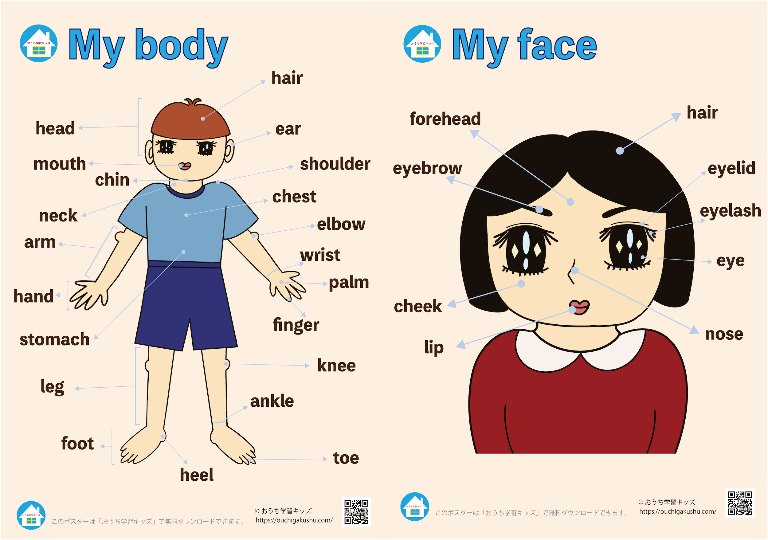 体と顔の部位の英語名一覧ポスター
