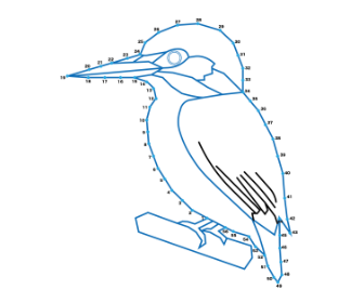 点つなぎ　カワセミ