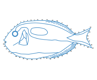 点つなぎ　ナンヨウハギ