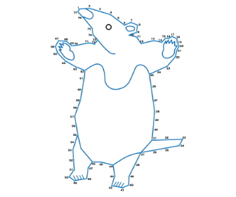 点つなぎ　ミナミコアリクイ